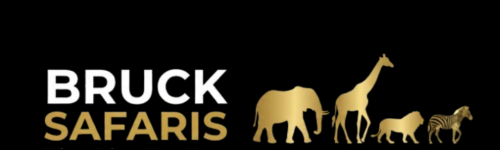 Bruck Safaris