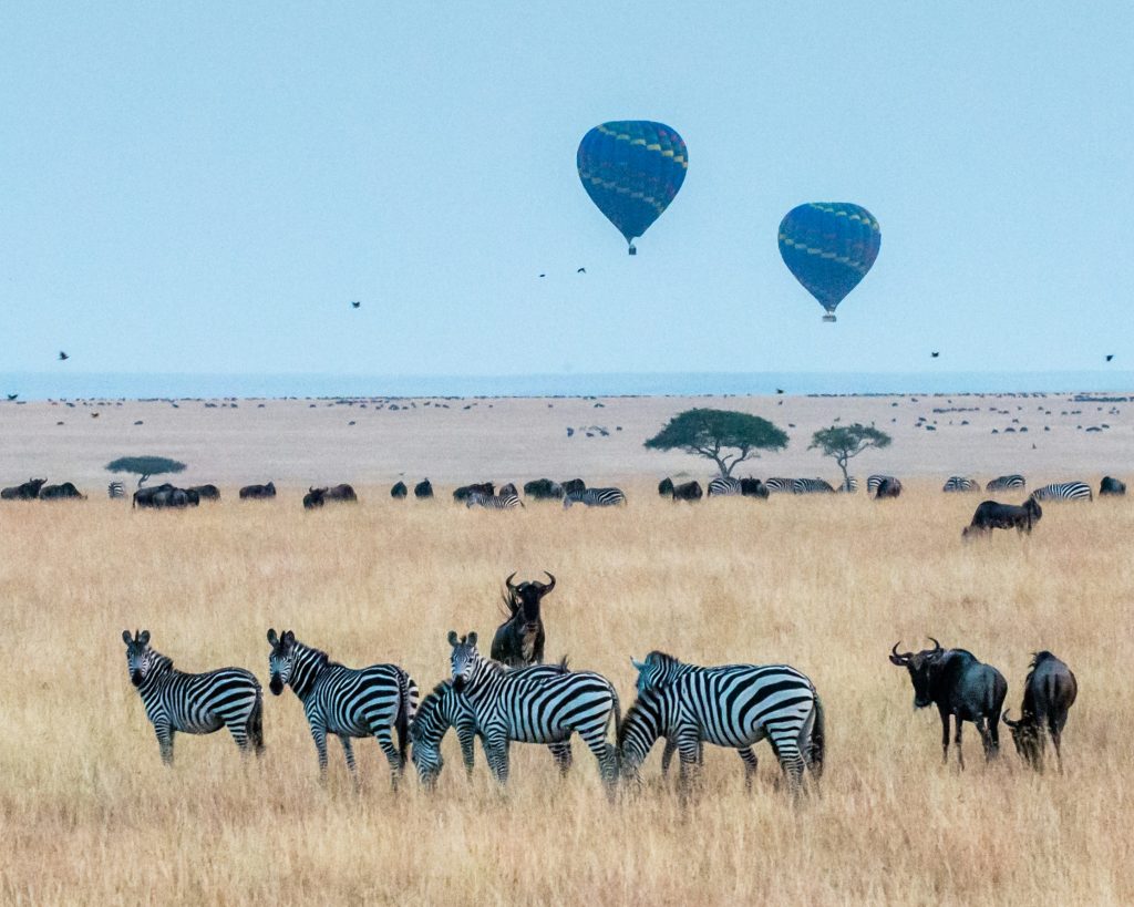 3 Days or 4 Days? How to Choose Your Kenya Safari Length
